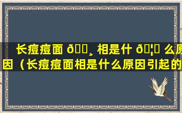 长痘痘面 🌸 相是什 🦊 么原因（长痘痘面相是什么原因引起的）